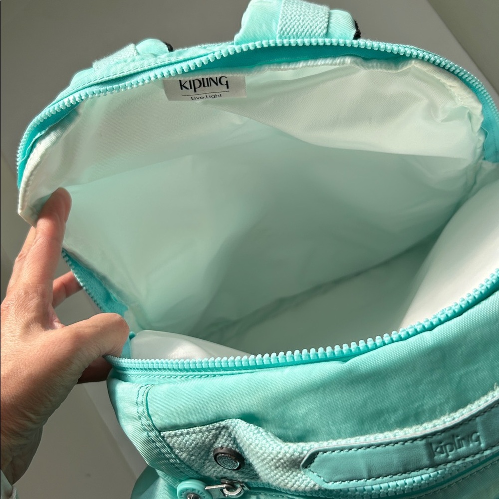 Kipling Large Backpack - image 6